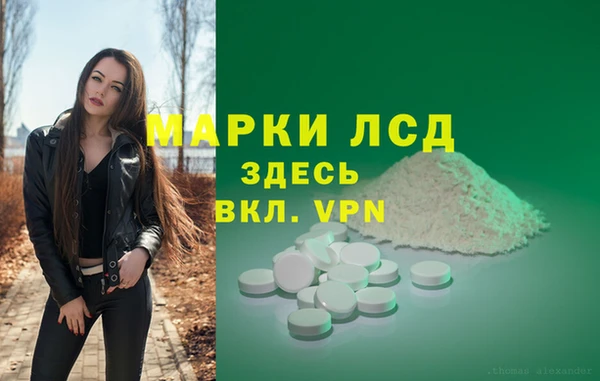 шишки Горняк