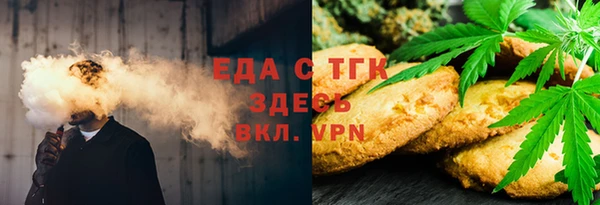 шишки Горняк
