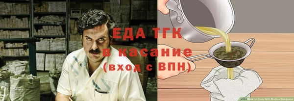 шишки Горняк