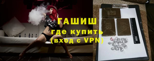 шишки Горняк