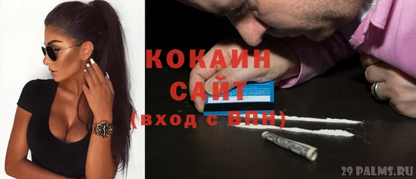 шишки Горняк