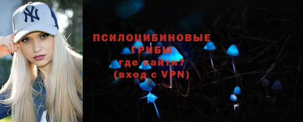 шишки Горняк