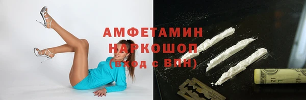 шишки Горняк