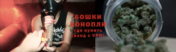 шишки Горняк
